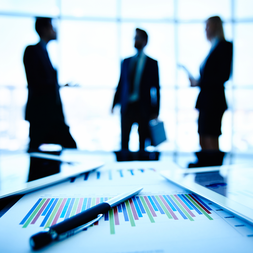 Bridge Medical Consulting